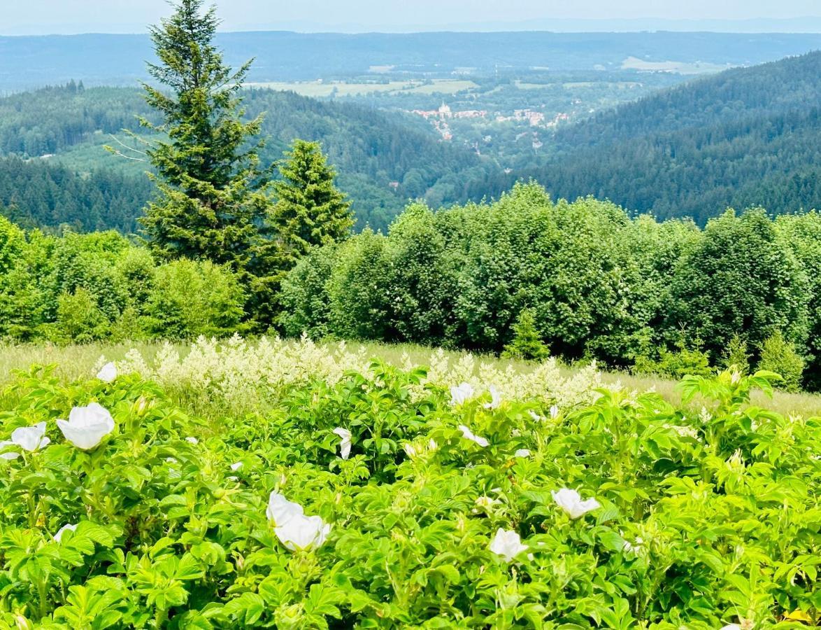 Apartamenty InnWersja Duszniki Zdrój Zewnętrze zdjęcie